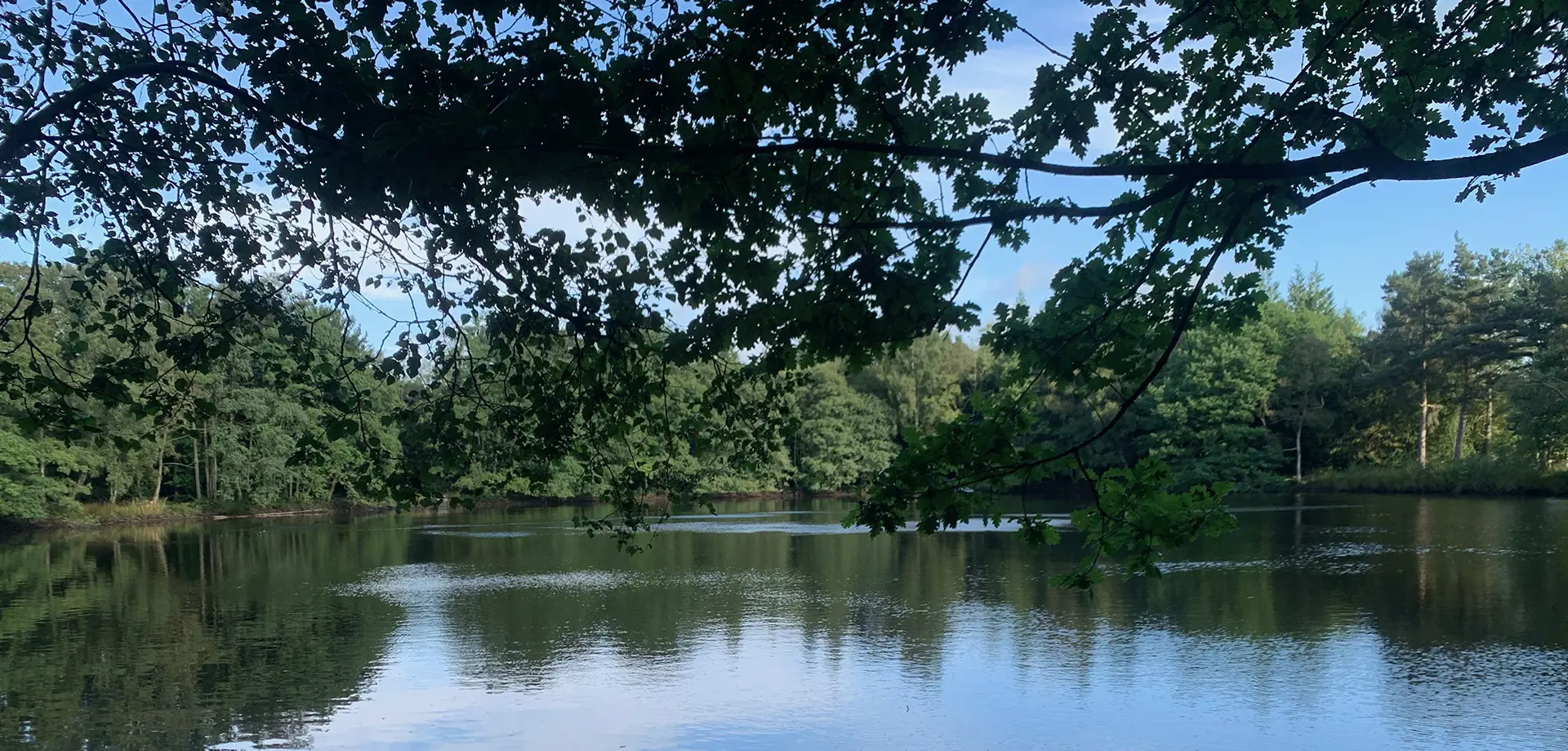 Mindful Waterways Walk - Lakes and Woods