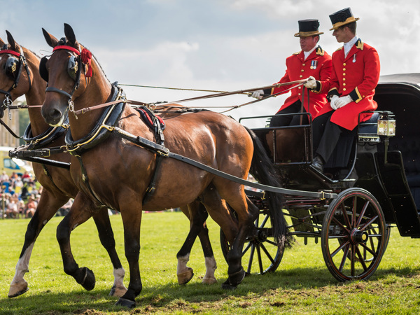 Grand Ring entertainment at the Chatsworth Country Fair