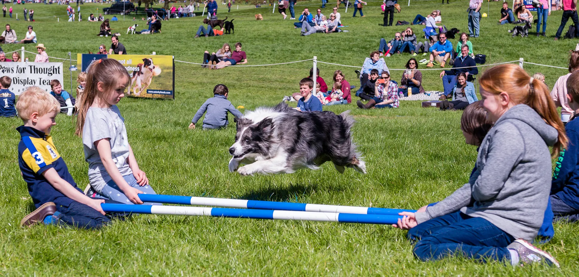 The Red Barrows and Daring Dogs Pack Out a Family and Dog Friendly Event