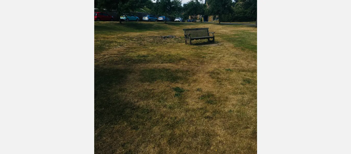Parch marks which show the foundations of Edensor School