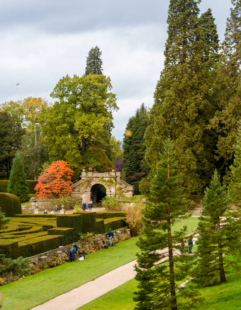 Garden