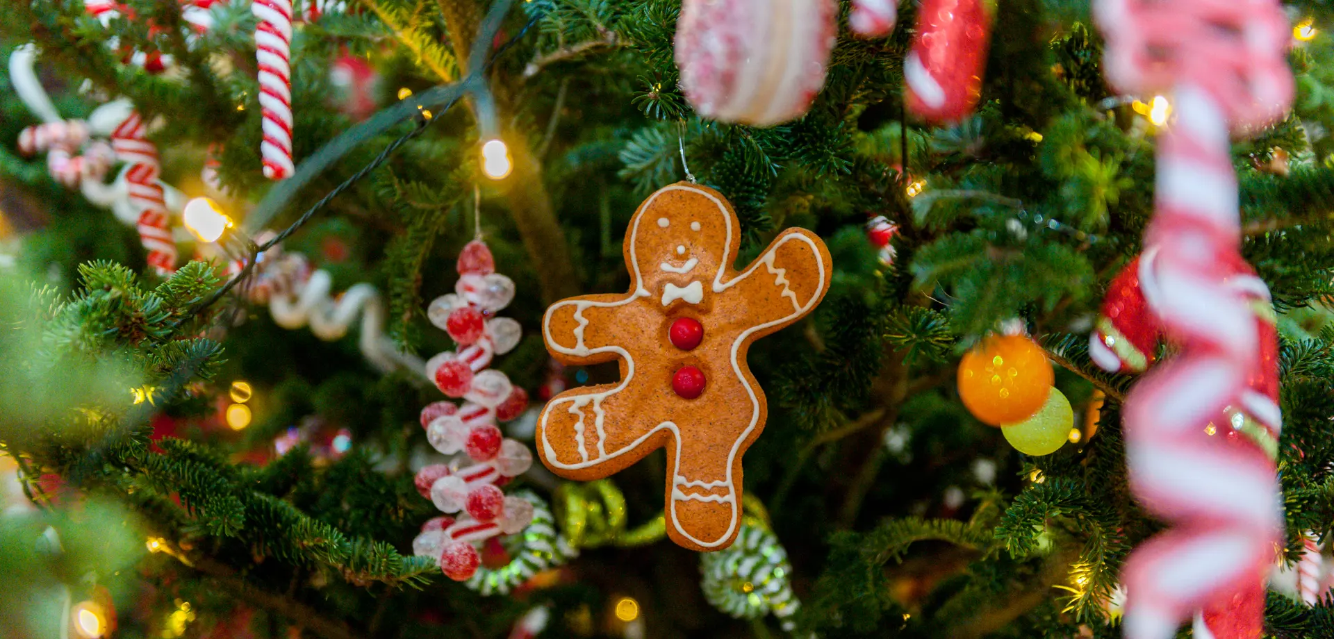 Christmas in the farm shop