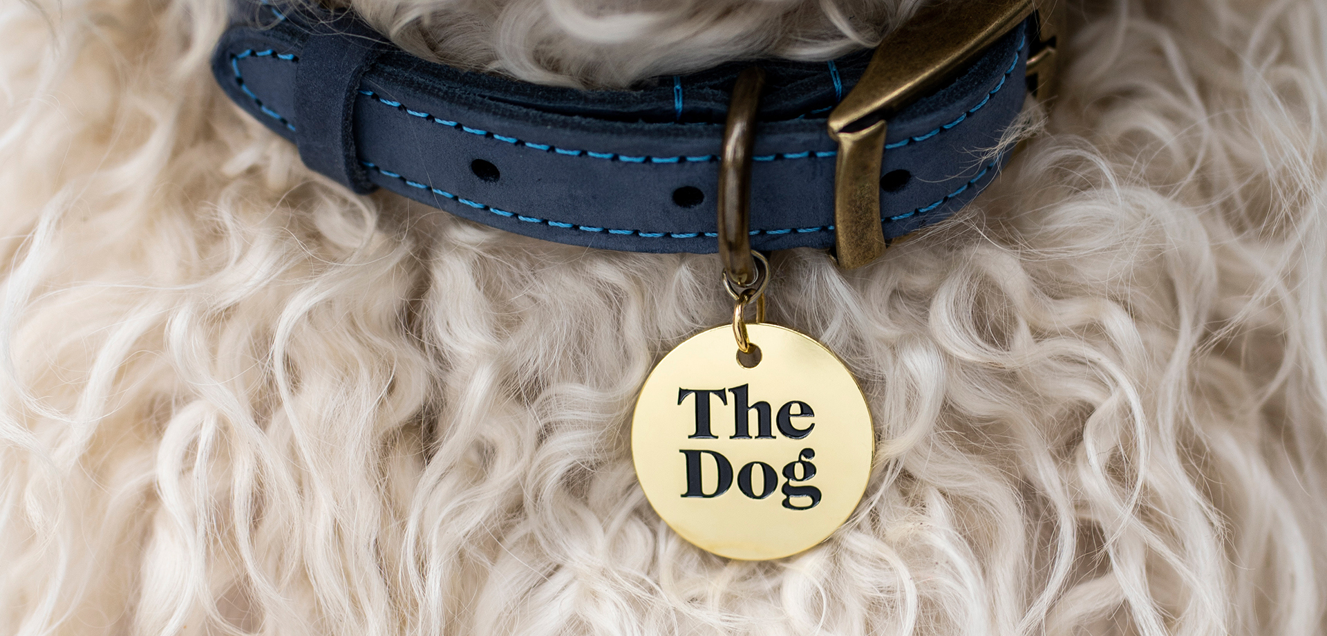 The Dog: A celebration at Chatsworth