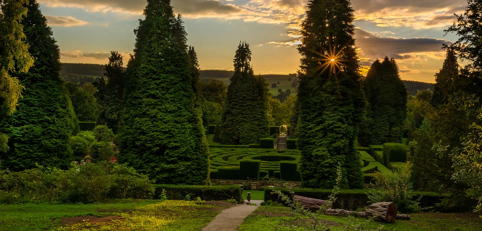 Gold Friend evenings in the garden