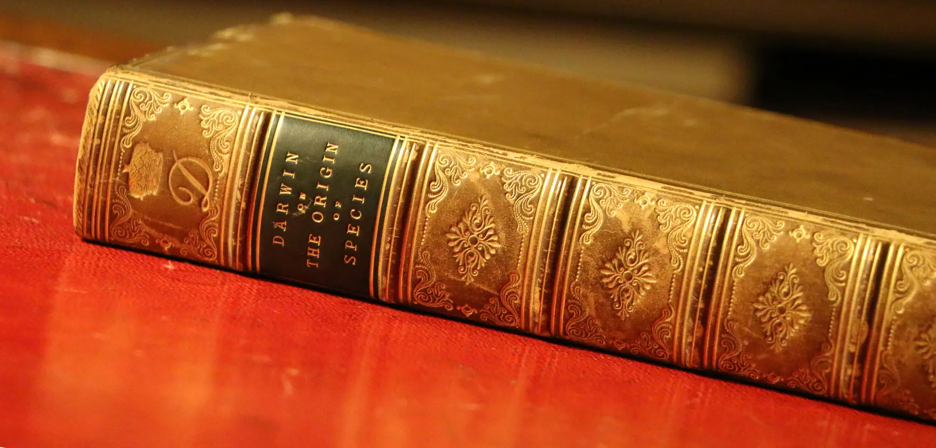 Pride & Prejudice