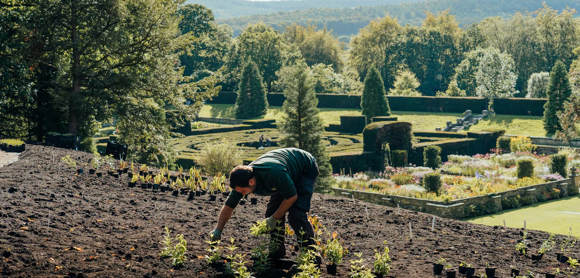 Sustainable planting beds in at Chatsworth