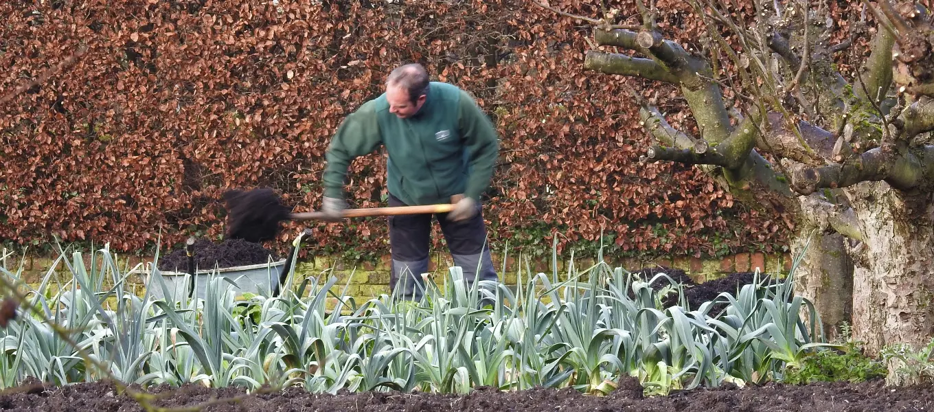 Mulching the Kitchen and Cutting Garden