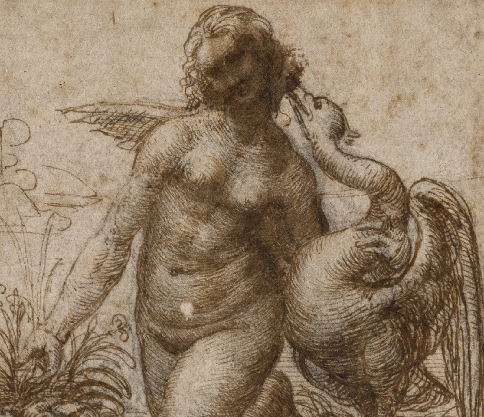 «леда и лебедь». Леда леонардо да винчи картина. Паоло веронезе. Живопись леда и лебедь микеланджело. Леда и лебедь картина леонардо.