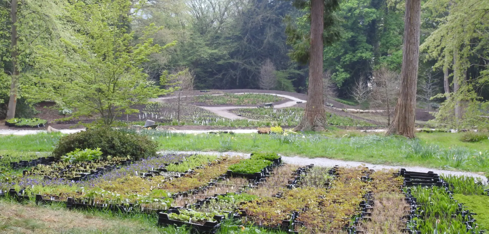 In the Chatsworth Garden: The wet glade