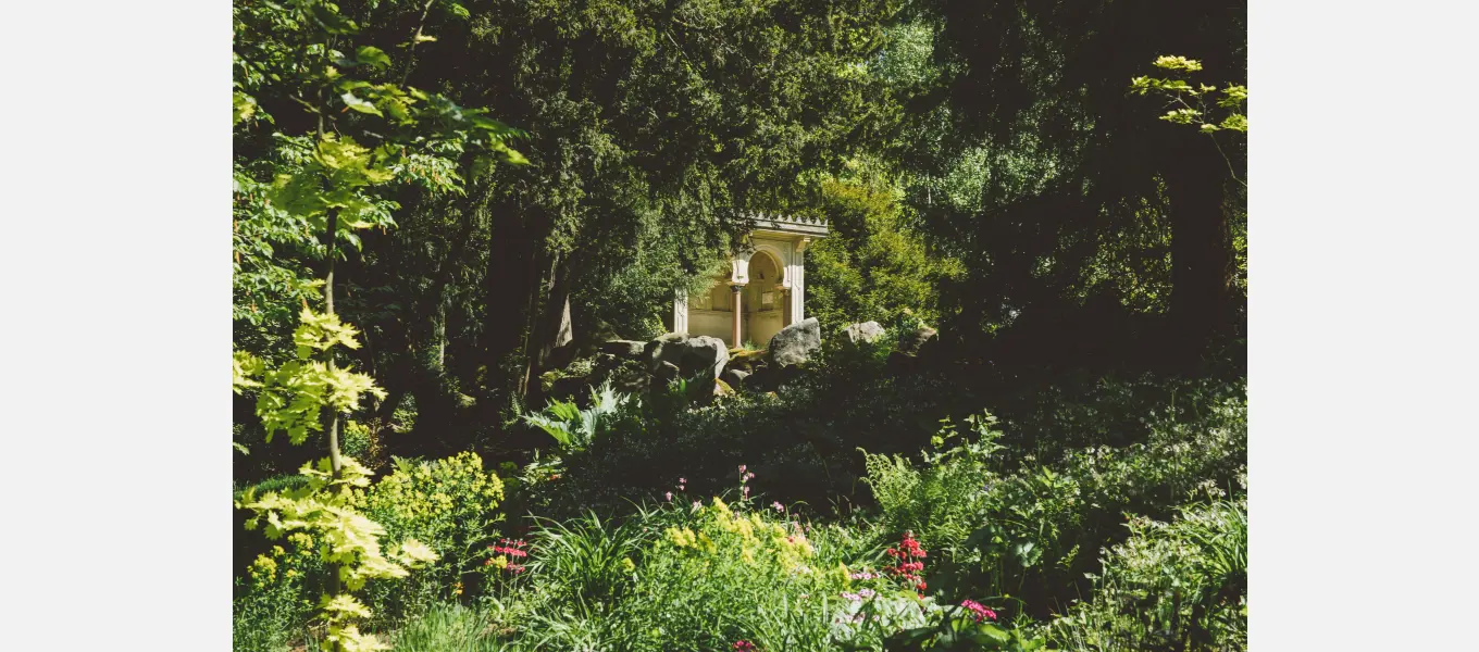 Planting around the Summer House has burst into life