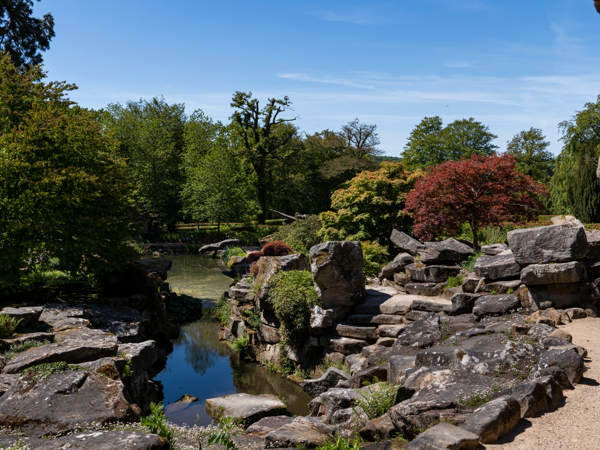 In the Chatsworth Garden blog series