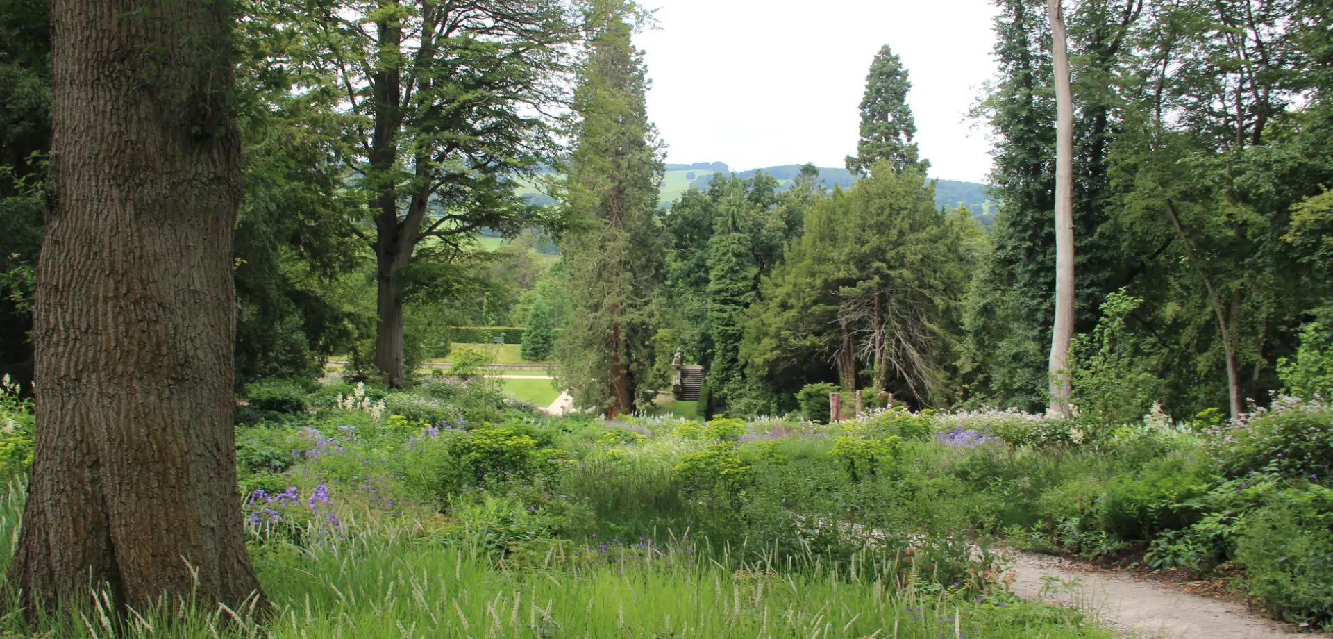 In the Chatsworth Garden: Summer 2020