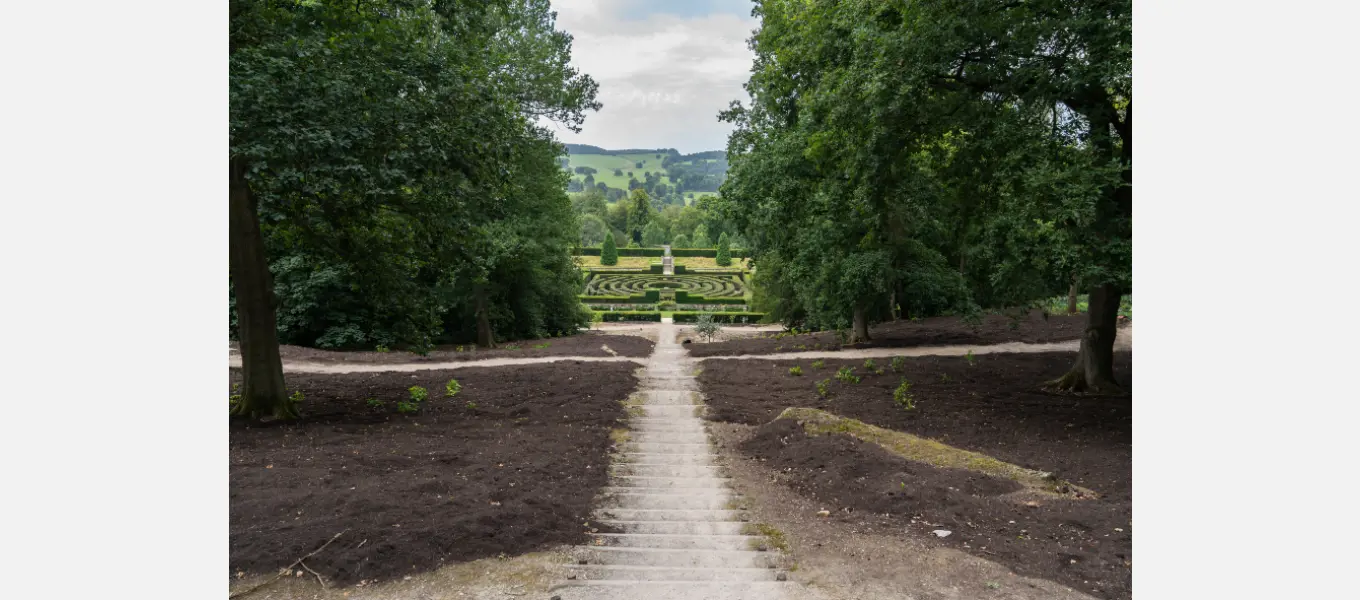 The area around the Hundred Steps has been prepped and is ready for new planting