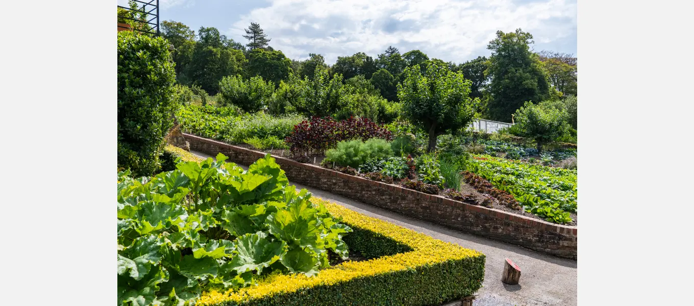 The Kitchen and Cutting Garden is bursting with delicious produce and beautiful blooms