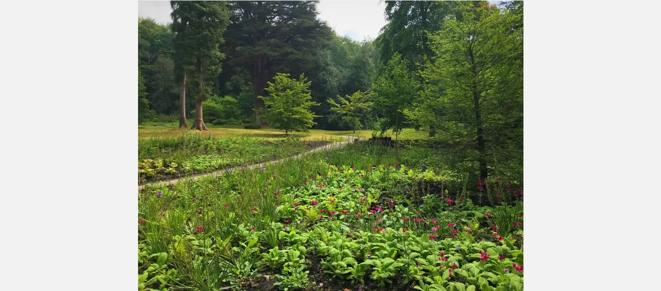 The wet glade