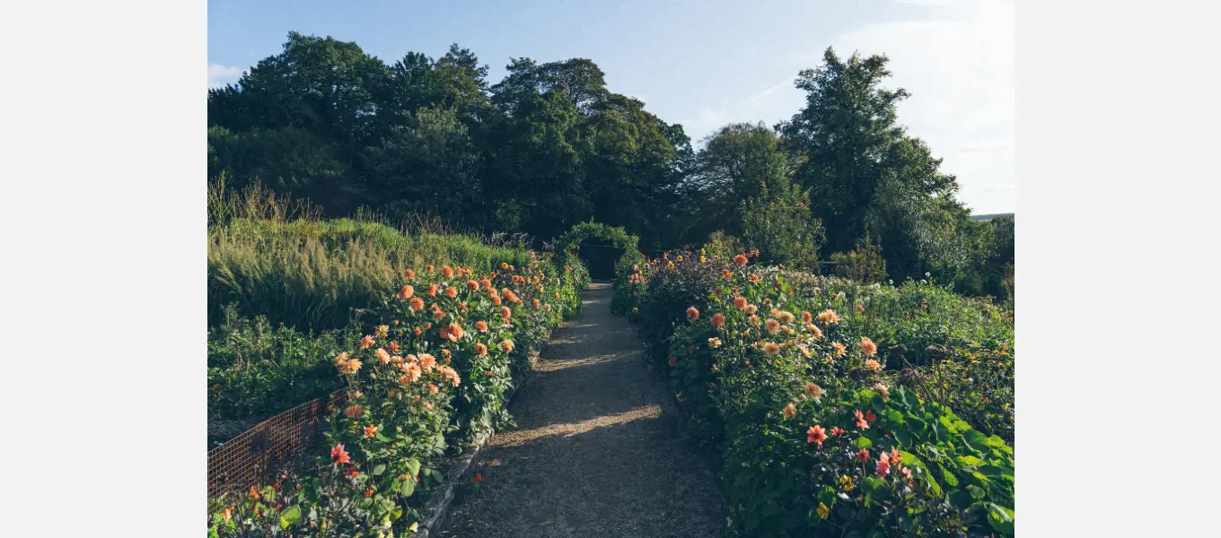 There is still plenty in flower in the cutting garden