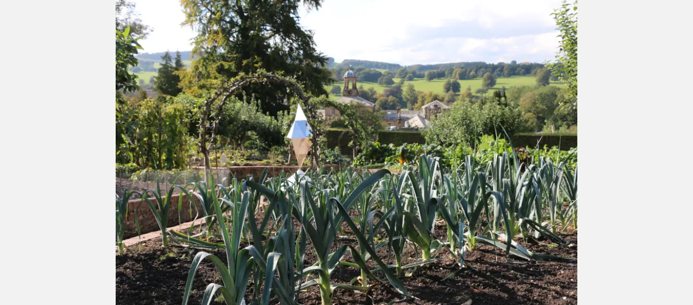 The kitchen garden is bursting with delicious produce