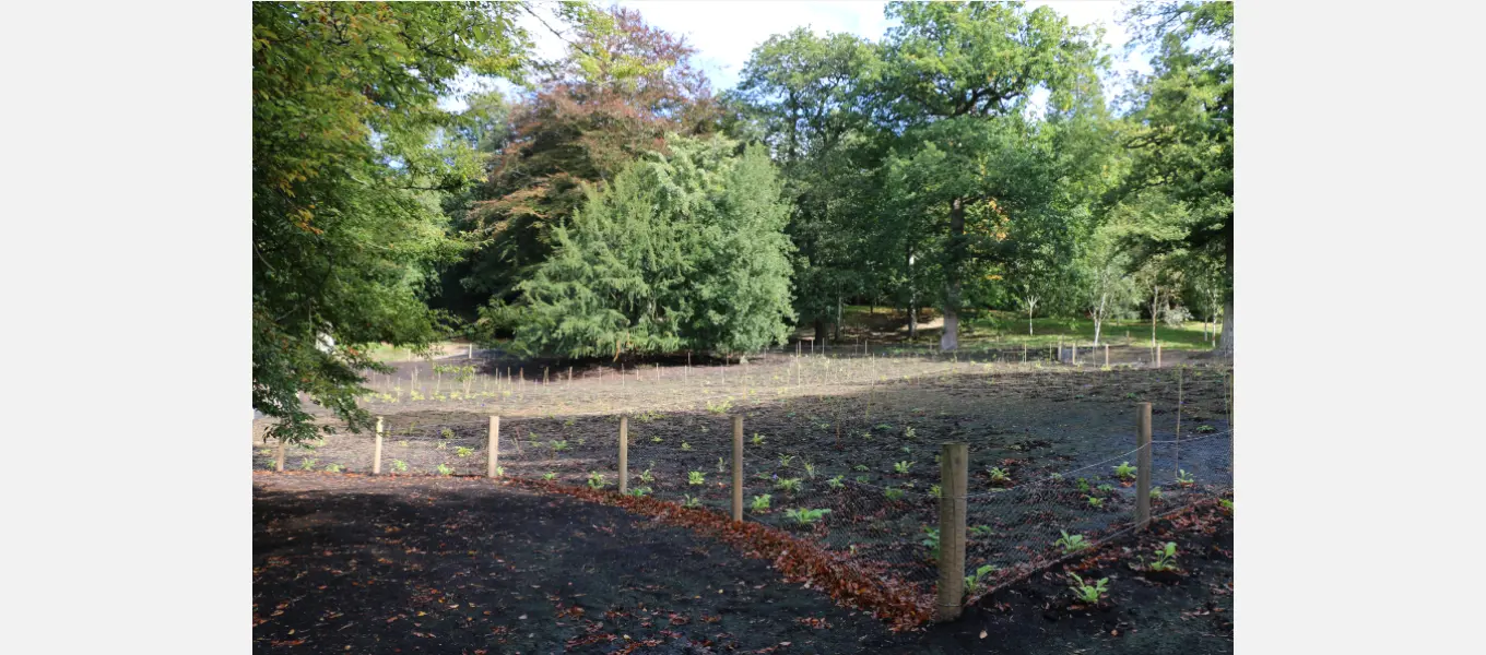 The Meadow Glade will feature over 70 different species of plant