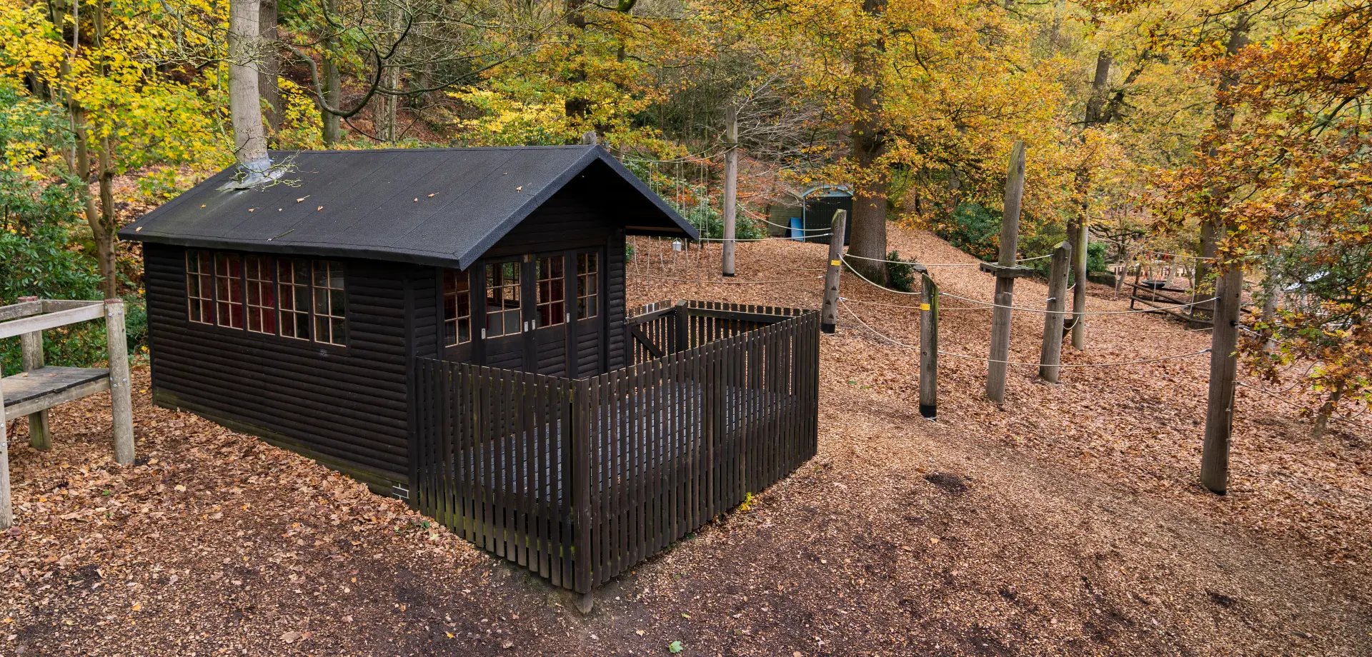 Woodland retreat experience