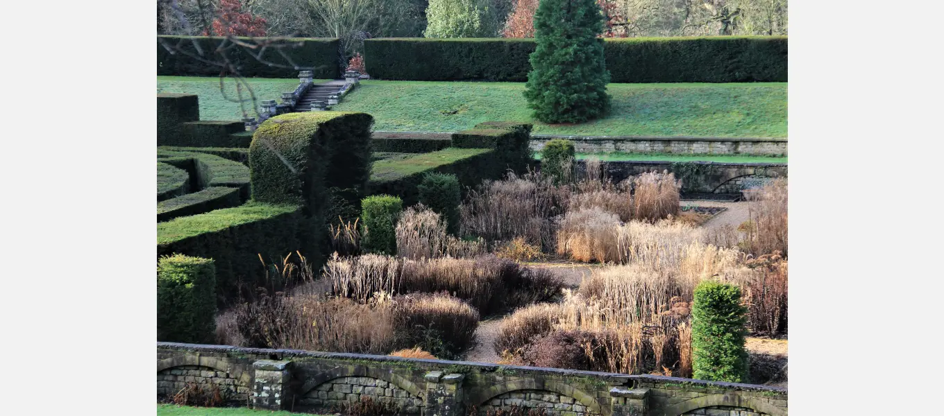The faded stems of Miscanthus and Molinia can be seen in the Maze border