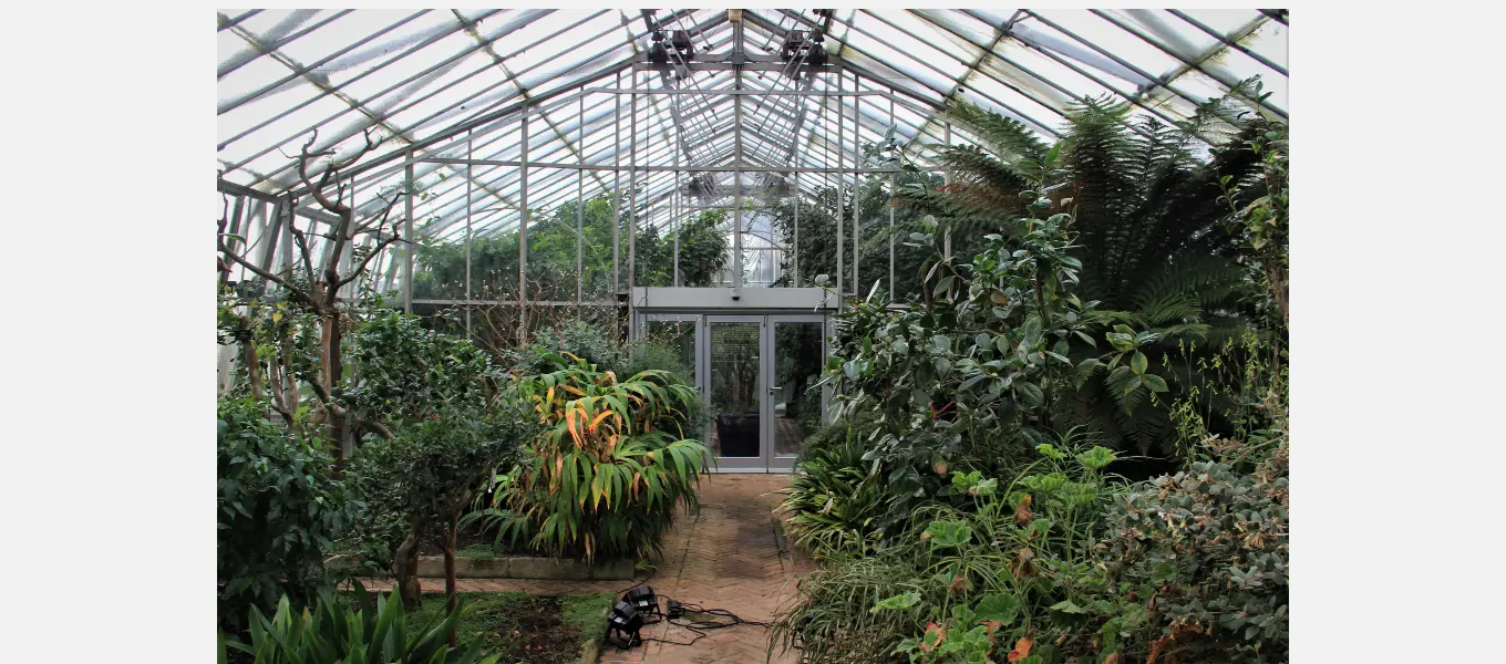 Inside the Display Greenhouse