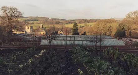 In the Production Gardens...