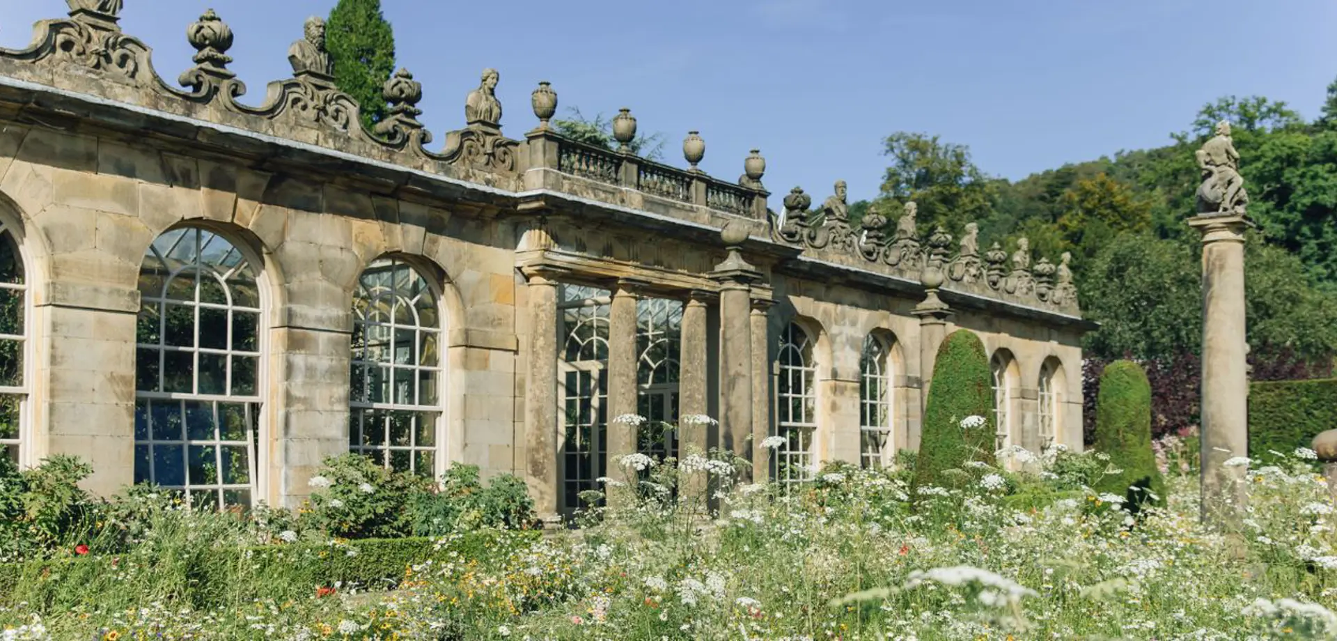 Guide to Chatsworth's Irises
