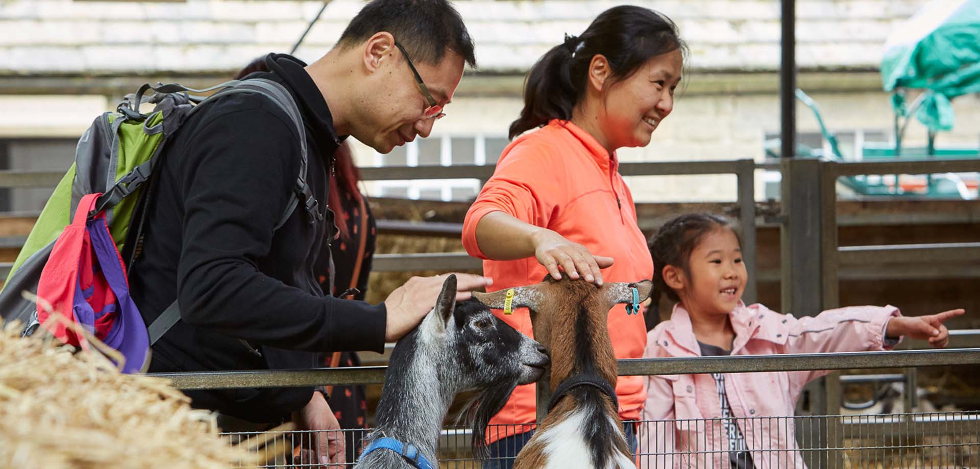Dad, mum and child petting goats