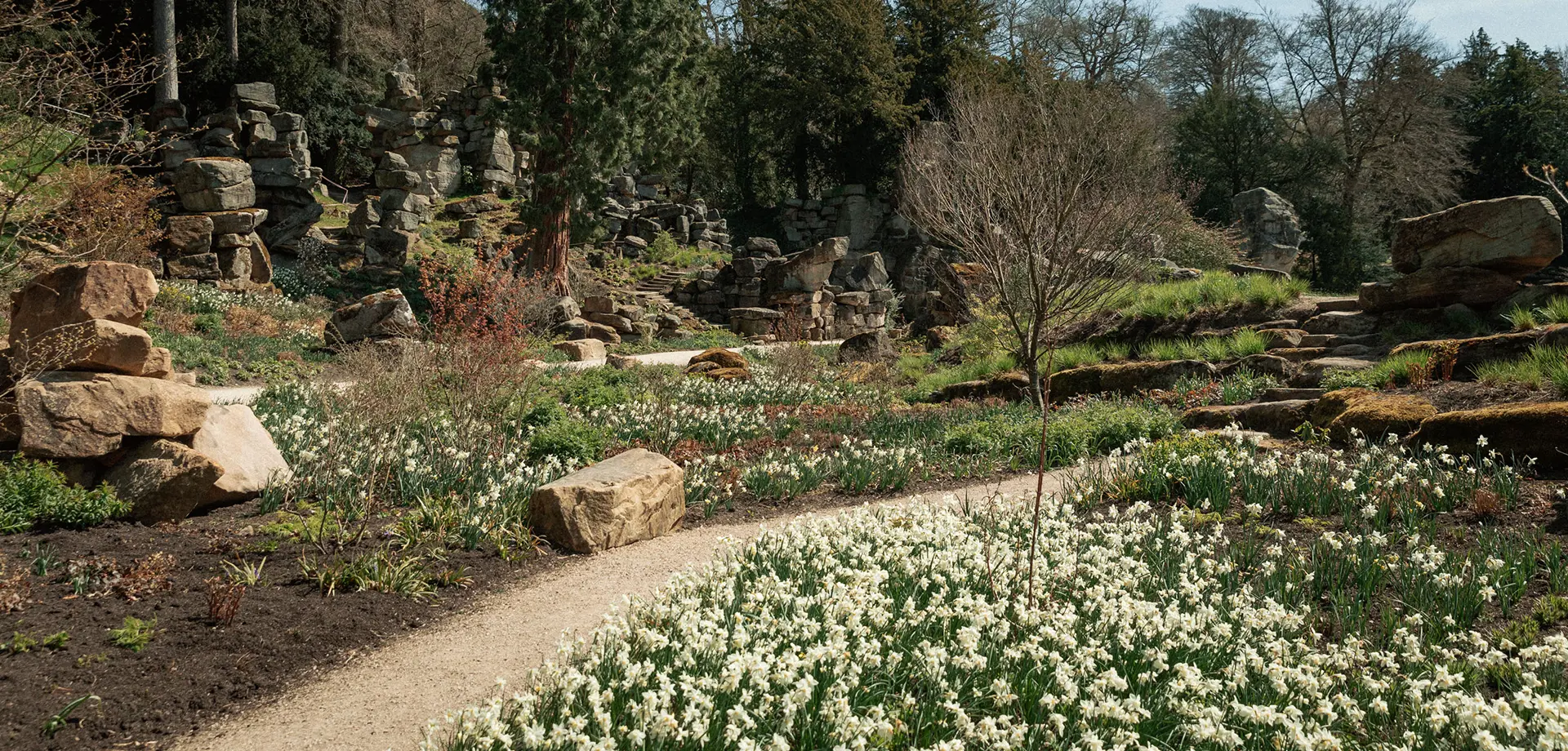 In the Chatsworth Garden: bulbs in bloom