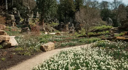 In the Chatsworth Garden blog series