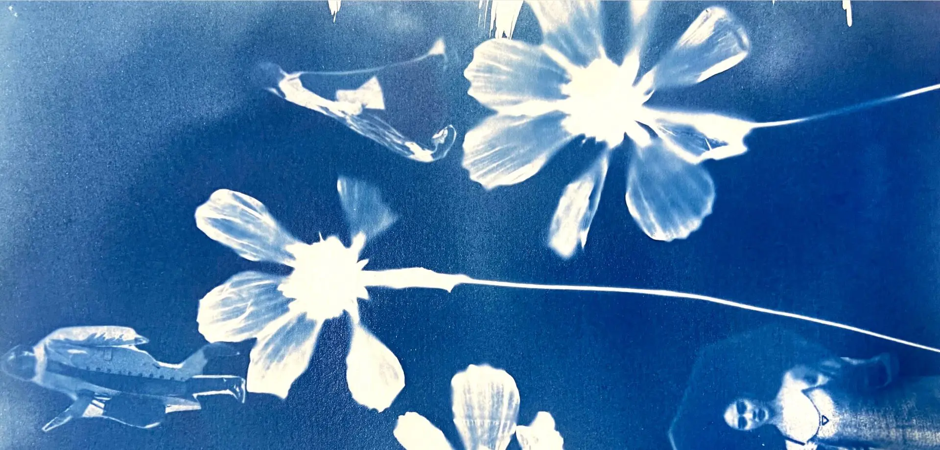 Cyanotype Printing Workshop 