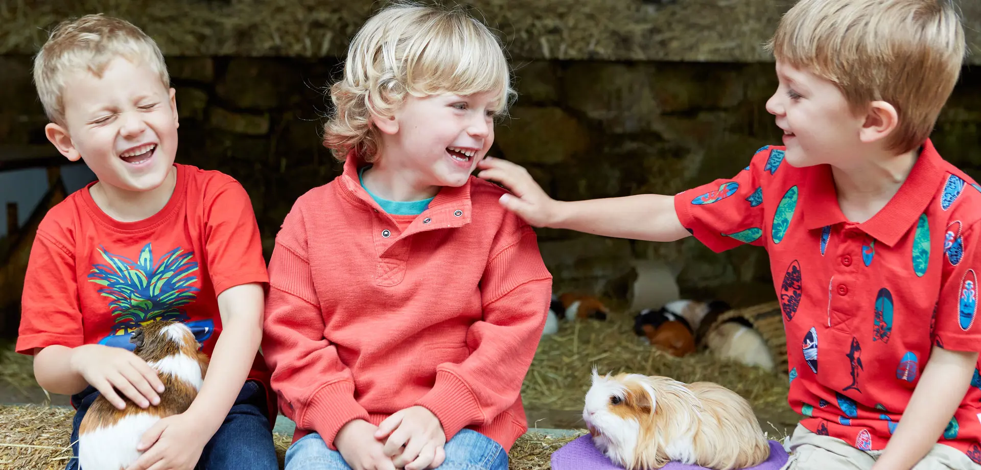 Rural skills take centre stage for half-term in the  Chatsworth Farmyard