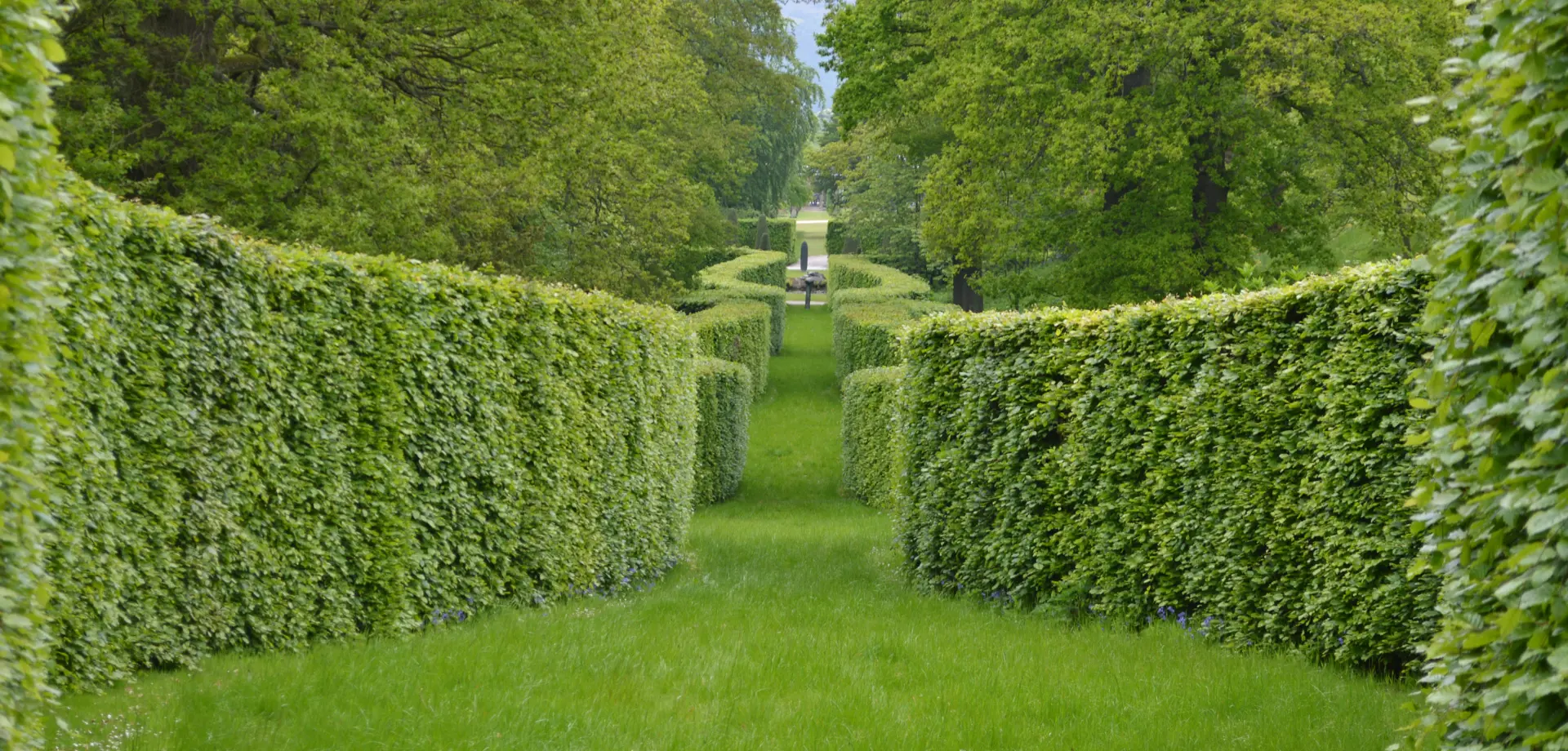 Serpentine Hedges