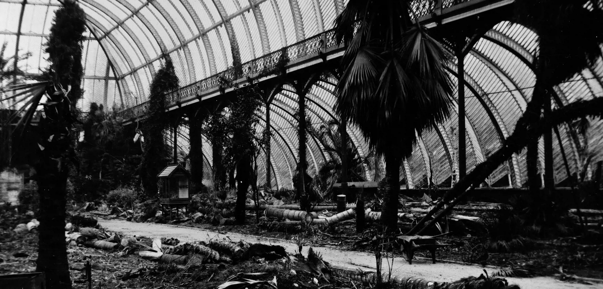 Decay in the Great Conservatory