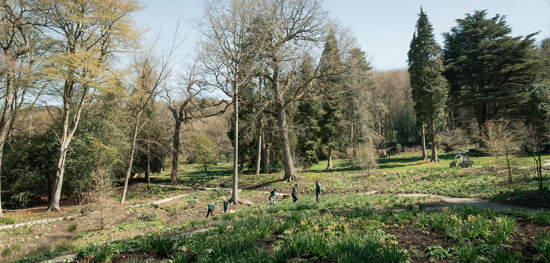 Developments in the Chatsworth Garden