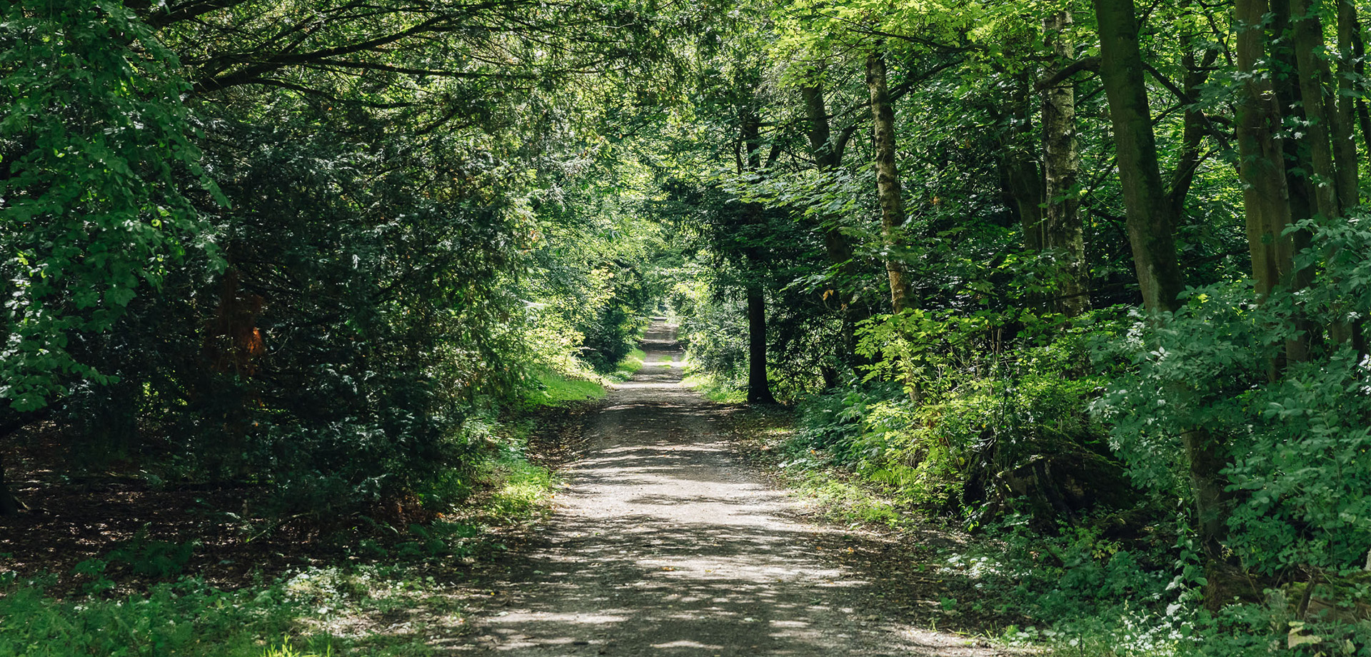 Get To Know Trees: Stand Wood Tour