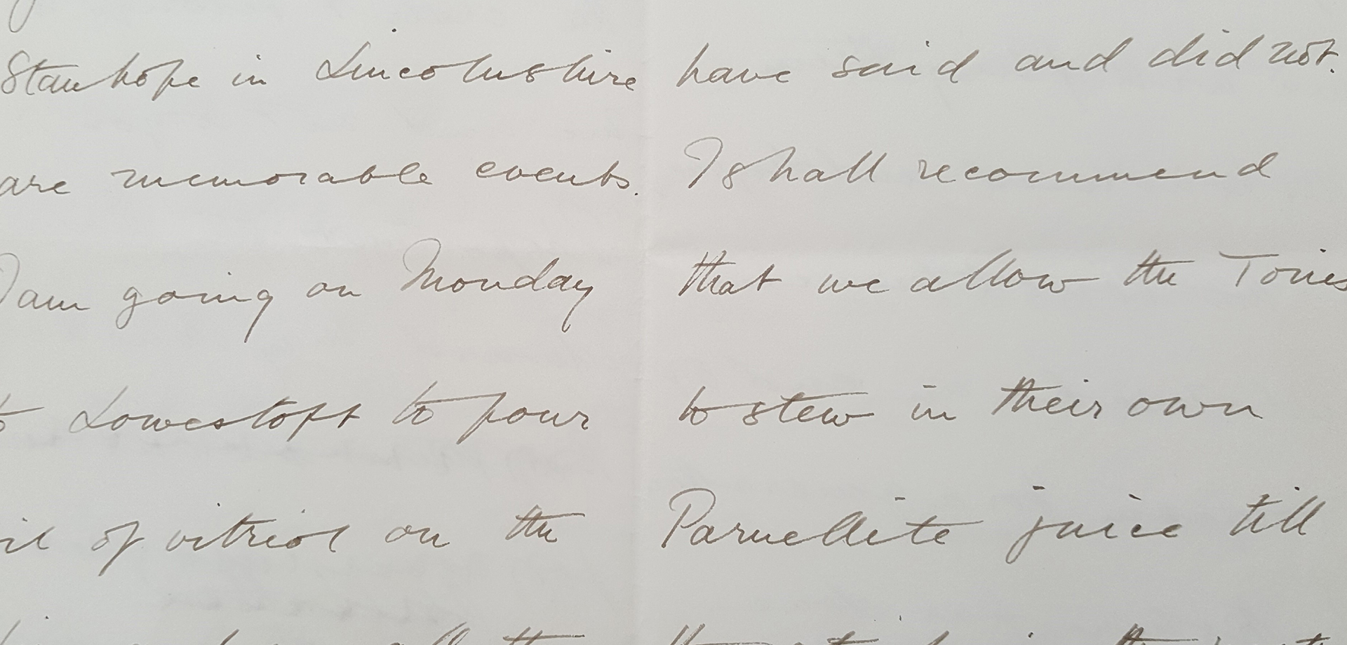 Stewing in Parnellite Juices The 1885 General Election