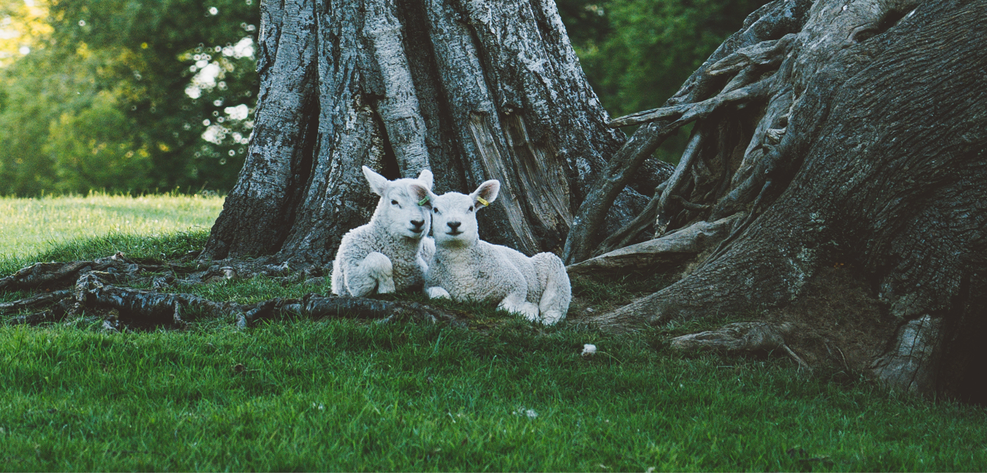 Easter at Chatsworth