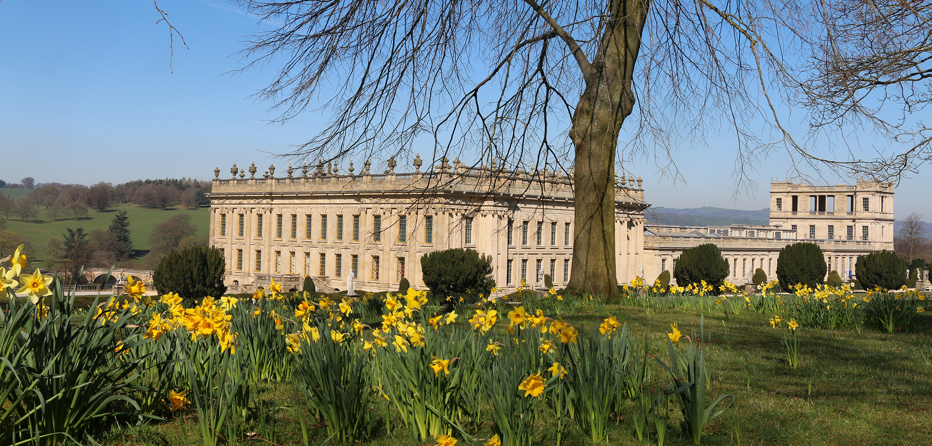 In the Chatsworth Garden: Spring is in the air