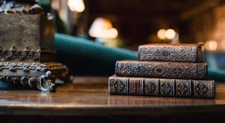 Curator's Guide: An Introduction to House of Stories