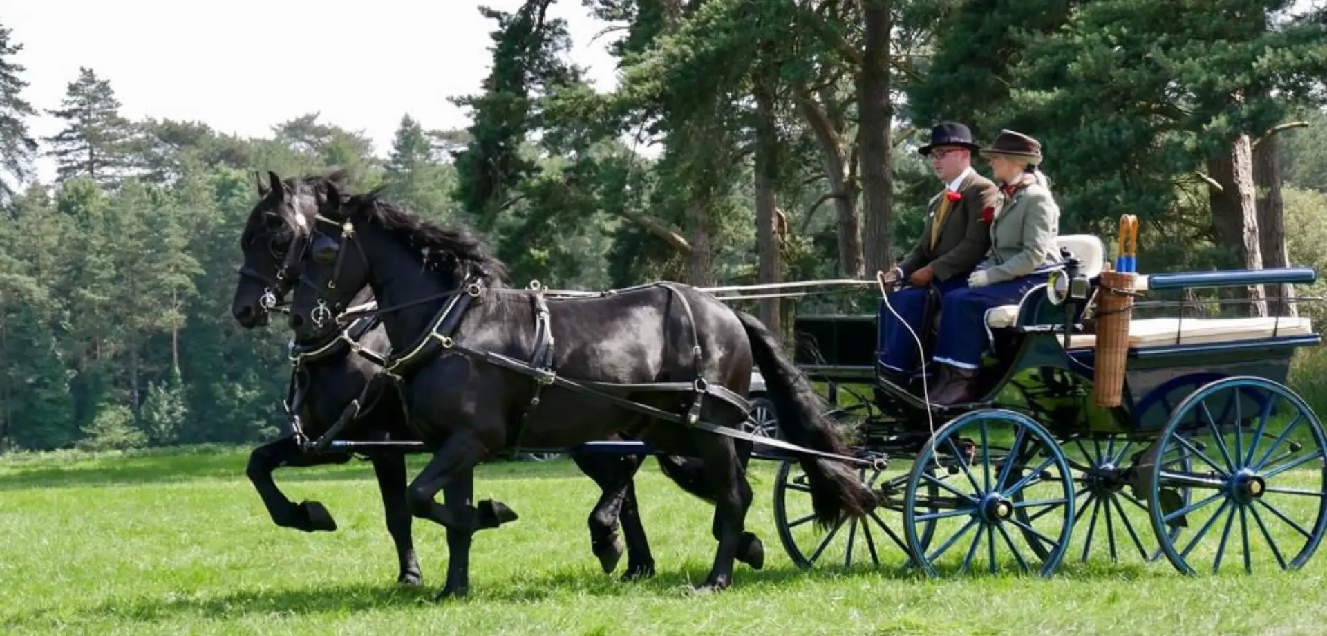 Regency Carriage Rides