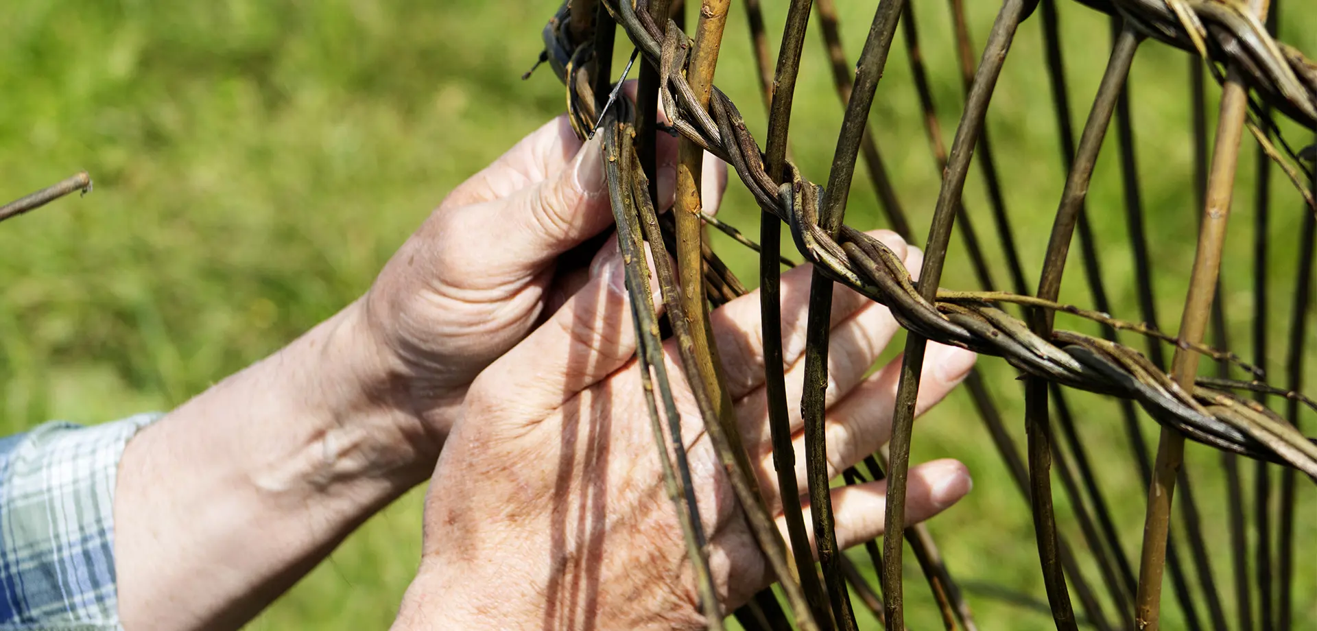 Willow Weaving Masterclass - Pig