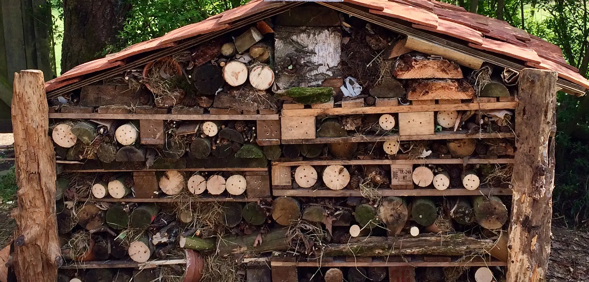 Bug hotel