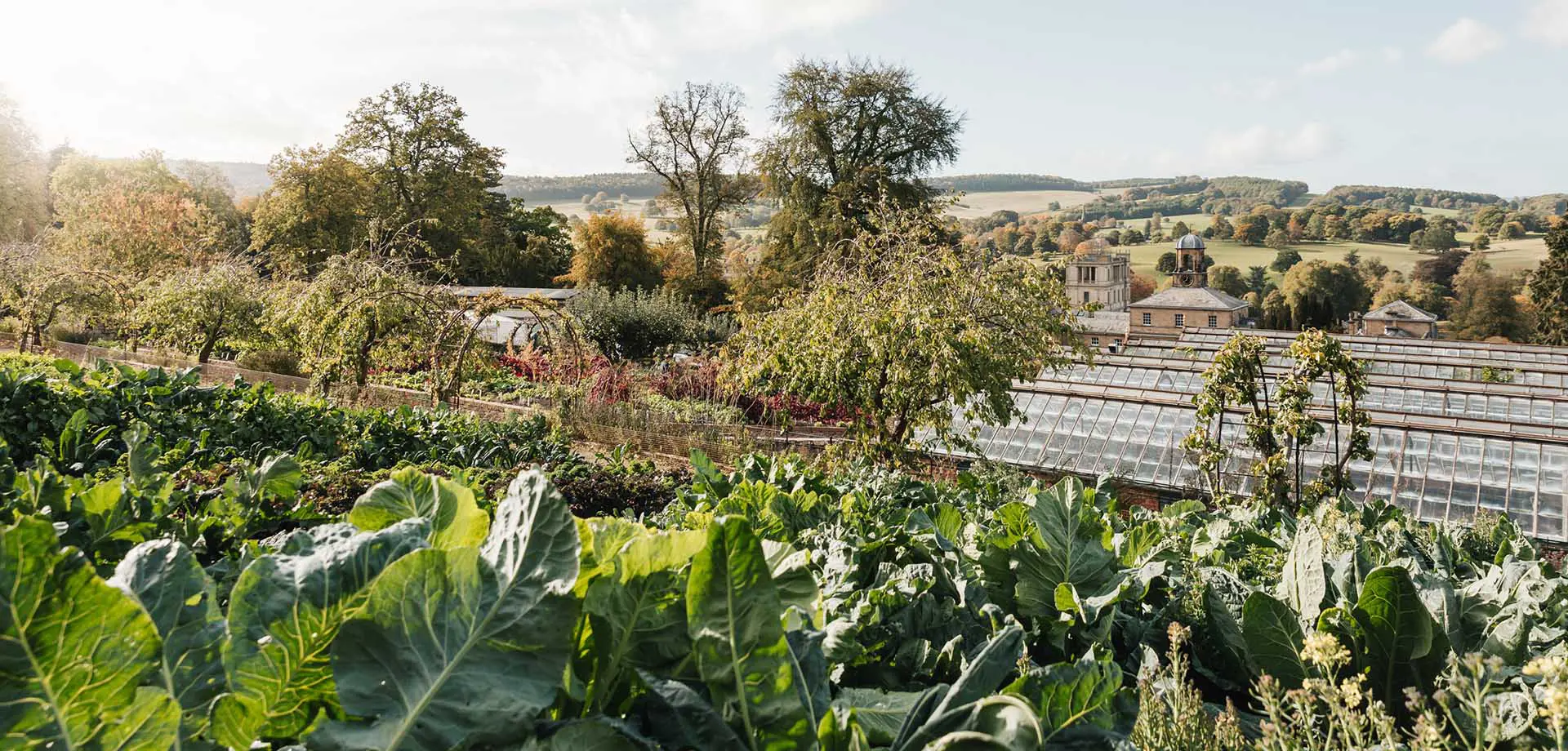 In the Production Gardens...