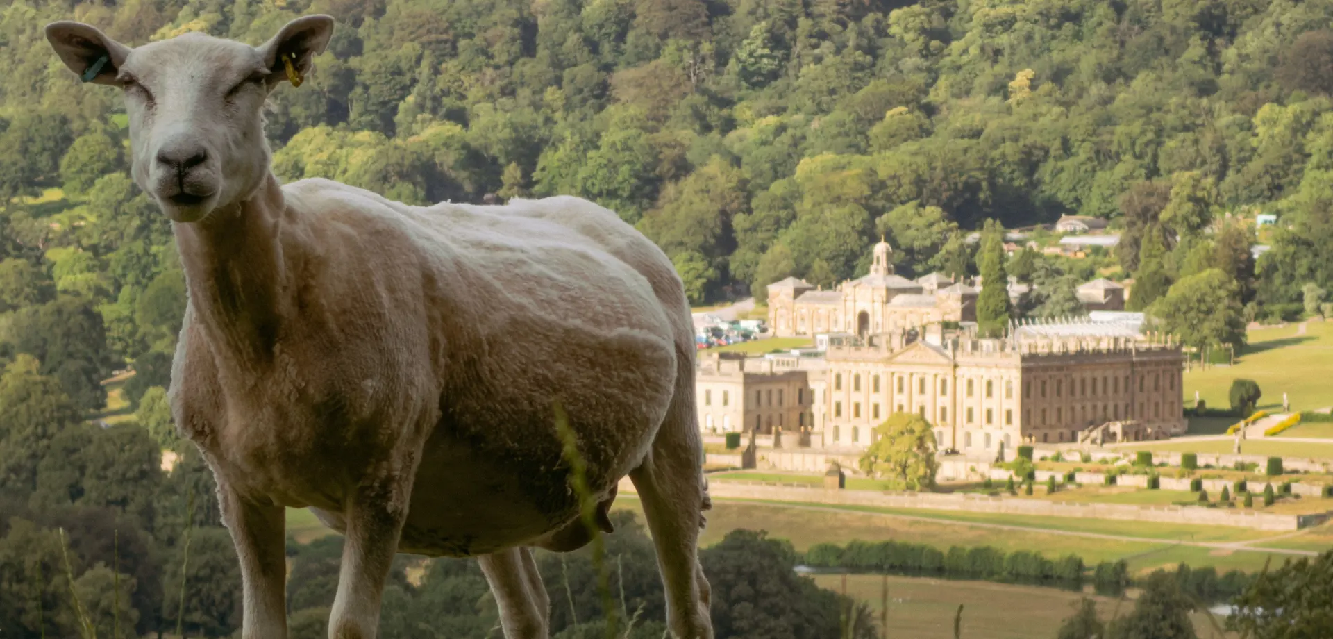 Walks from Calton Lees