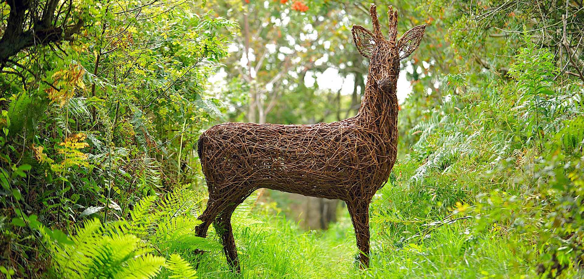 Nordic stag willow weaving