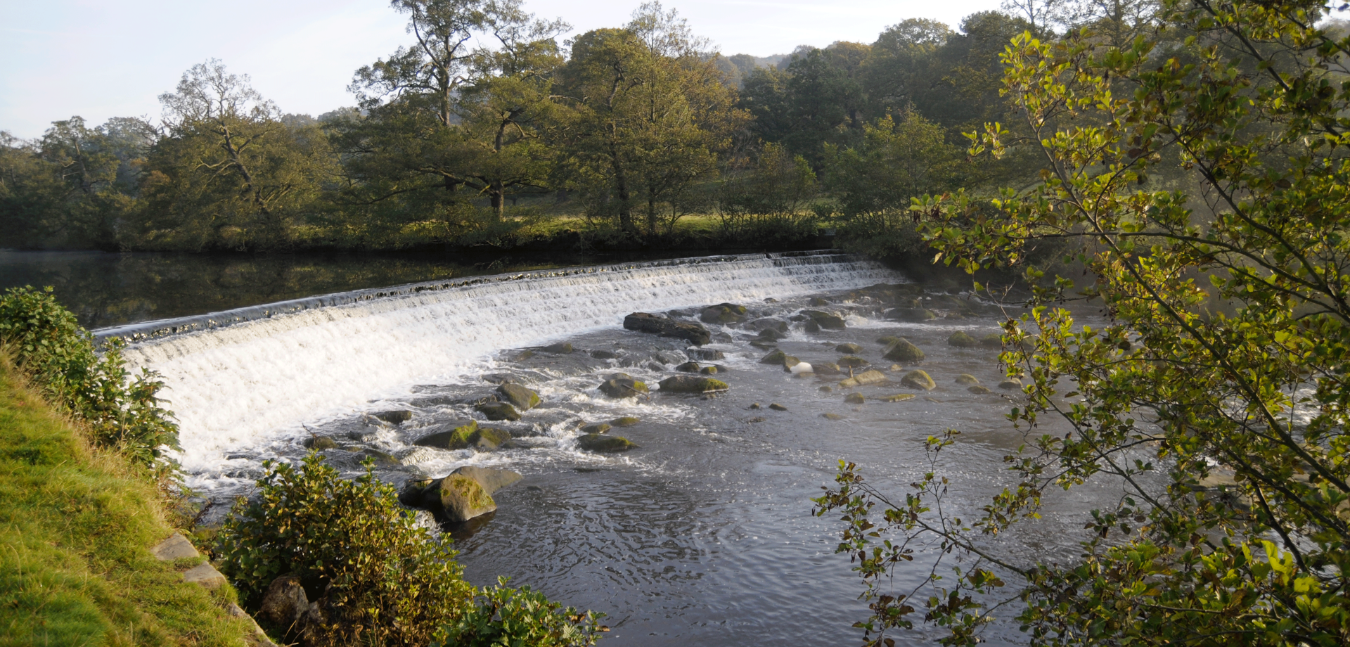 Mindful Waterways Walk - River