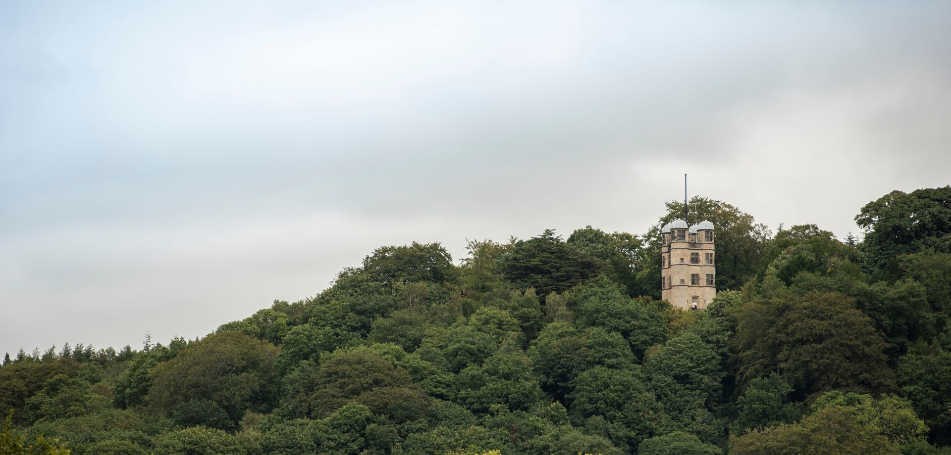 Landscape guardians: spring