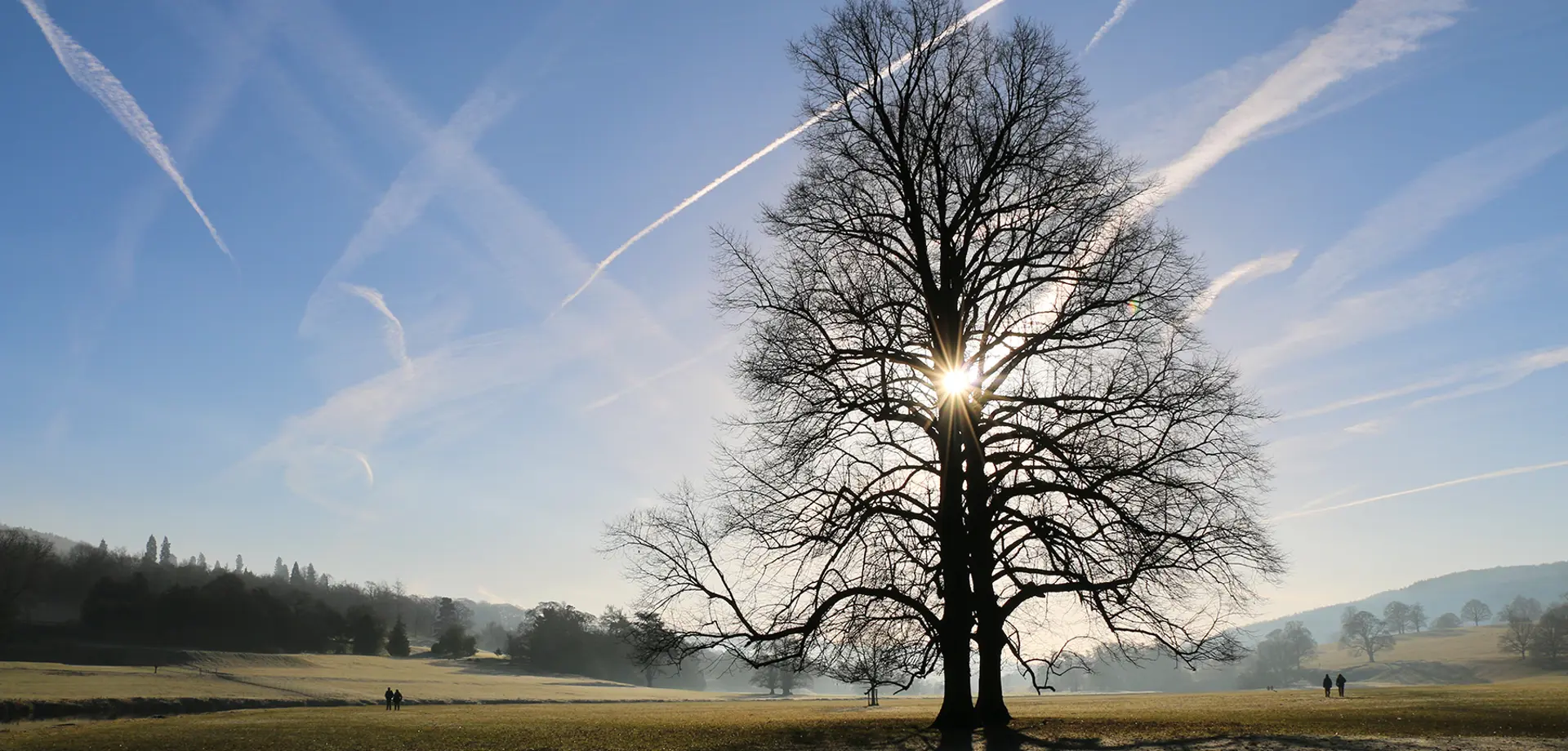 10 goals for 10 years