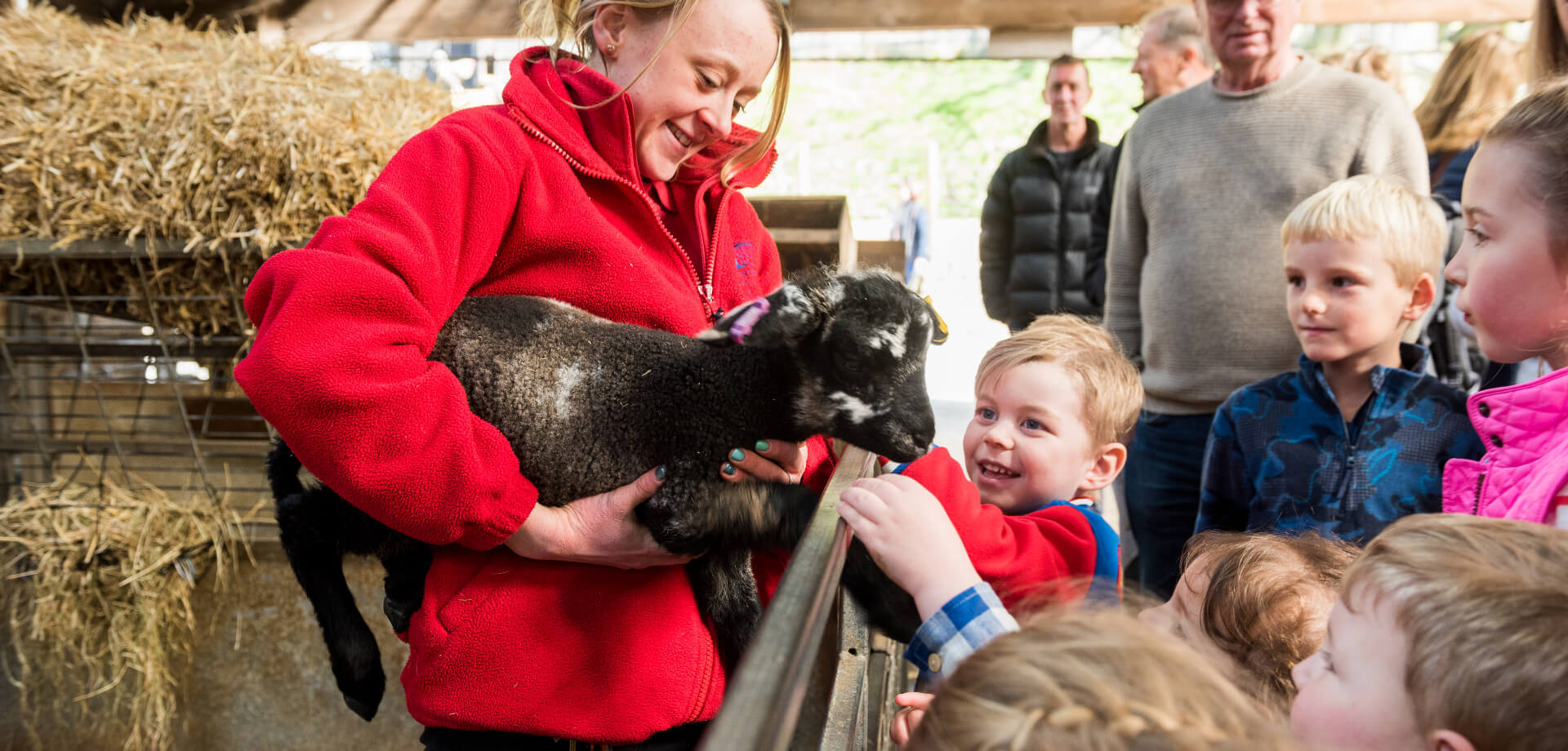 Half-term in the farmyard and playground